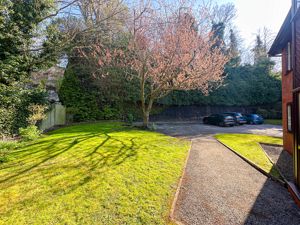 Photo 12- click for photo gallery